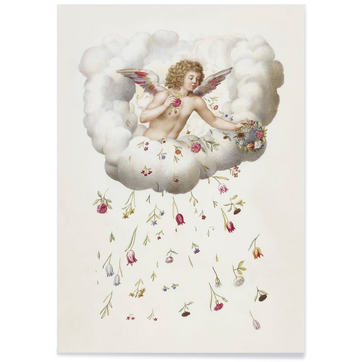 Cupid Cupid